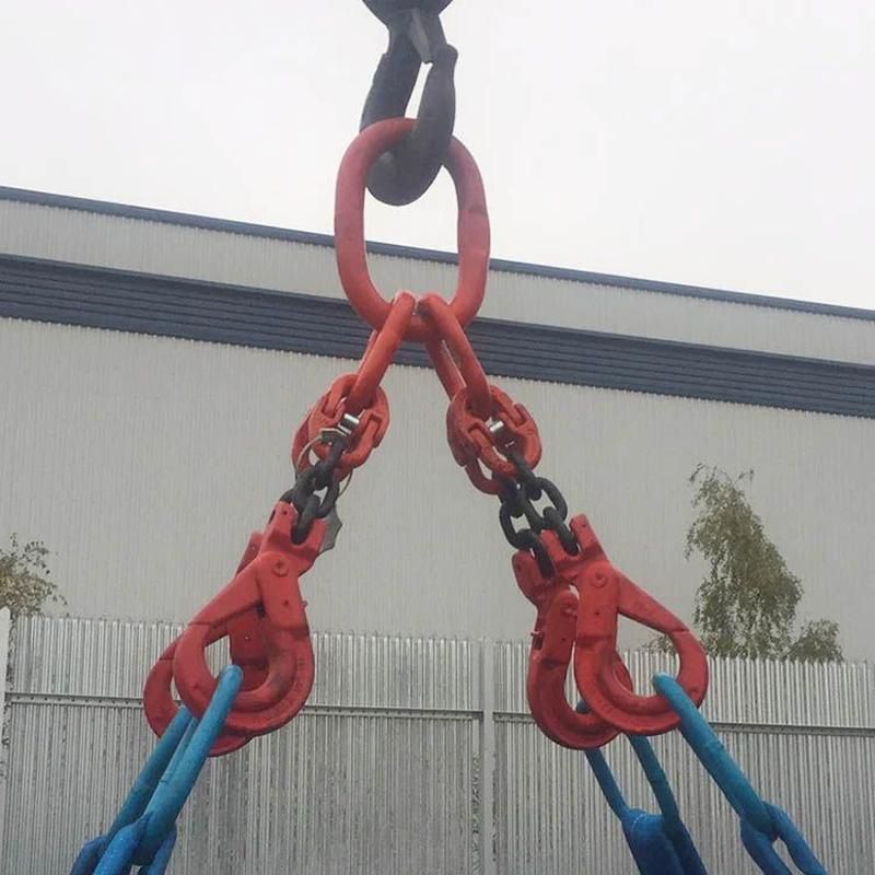 Double Leg Rigging Chain Grade80 Two Legs Chain Slings - Aqua Rigging